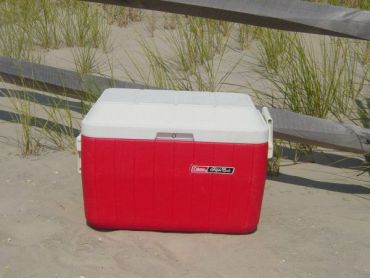Extra Standard Cooler with Ice