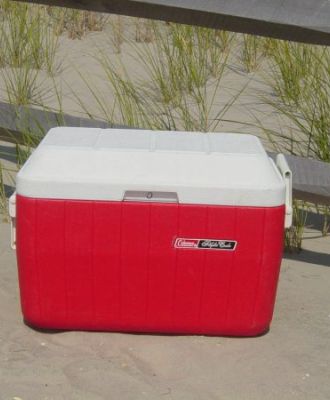 Extra Standard Cooler with Ice